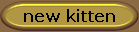 new kitten