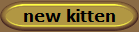 new kitten